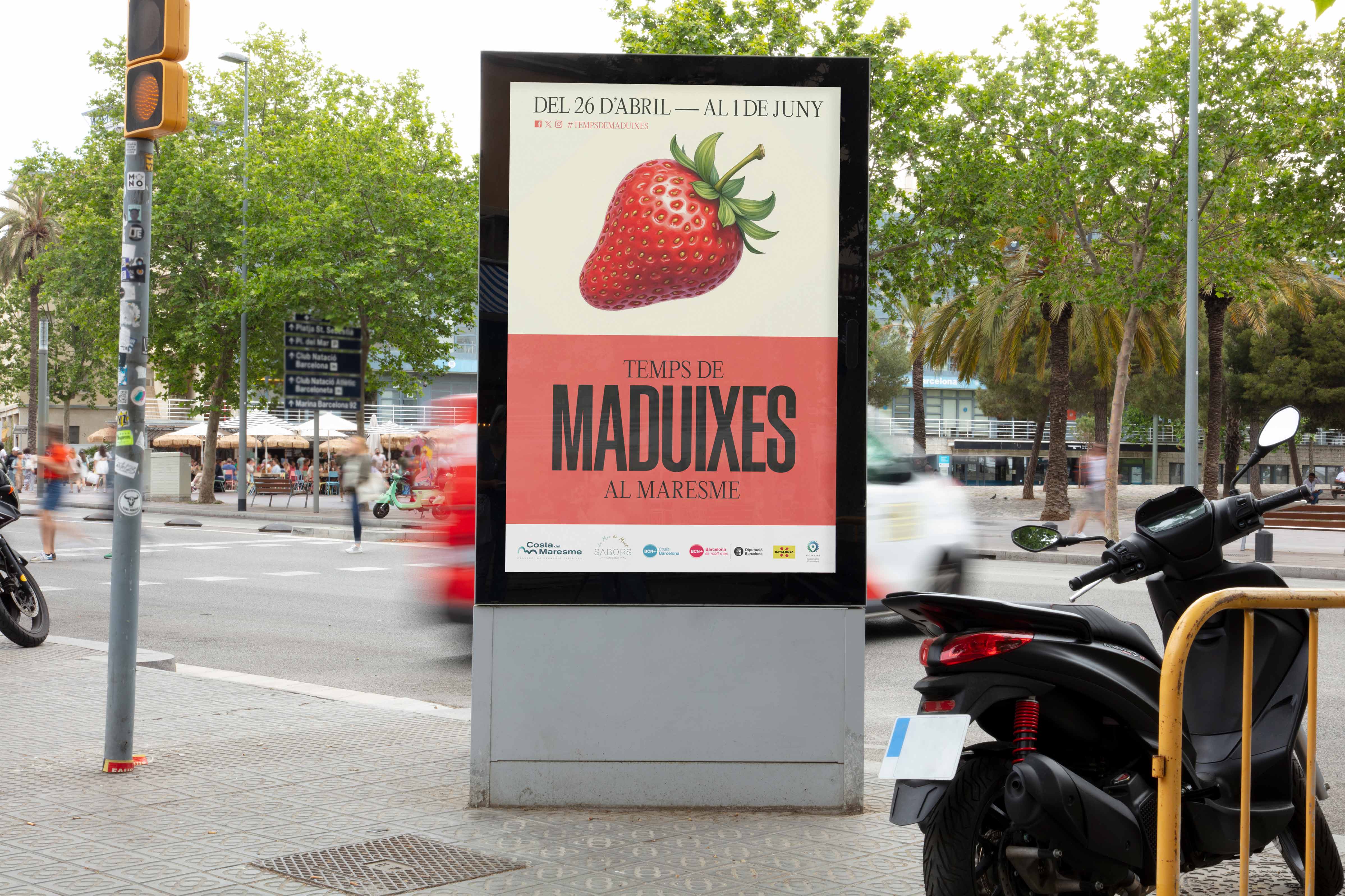 Temps_Maduixes_Maresme_1.jpg