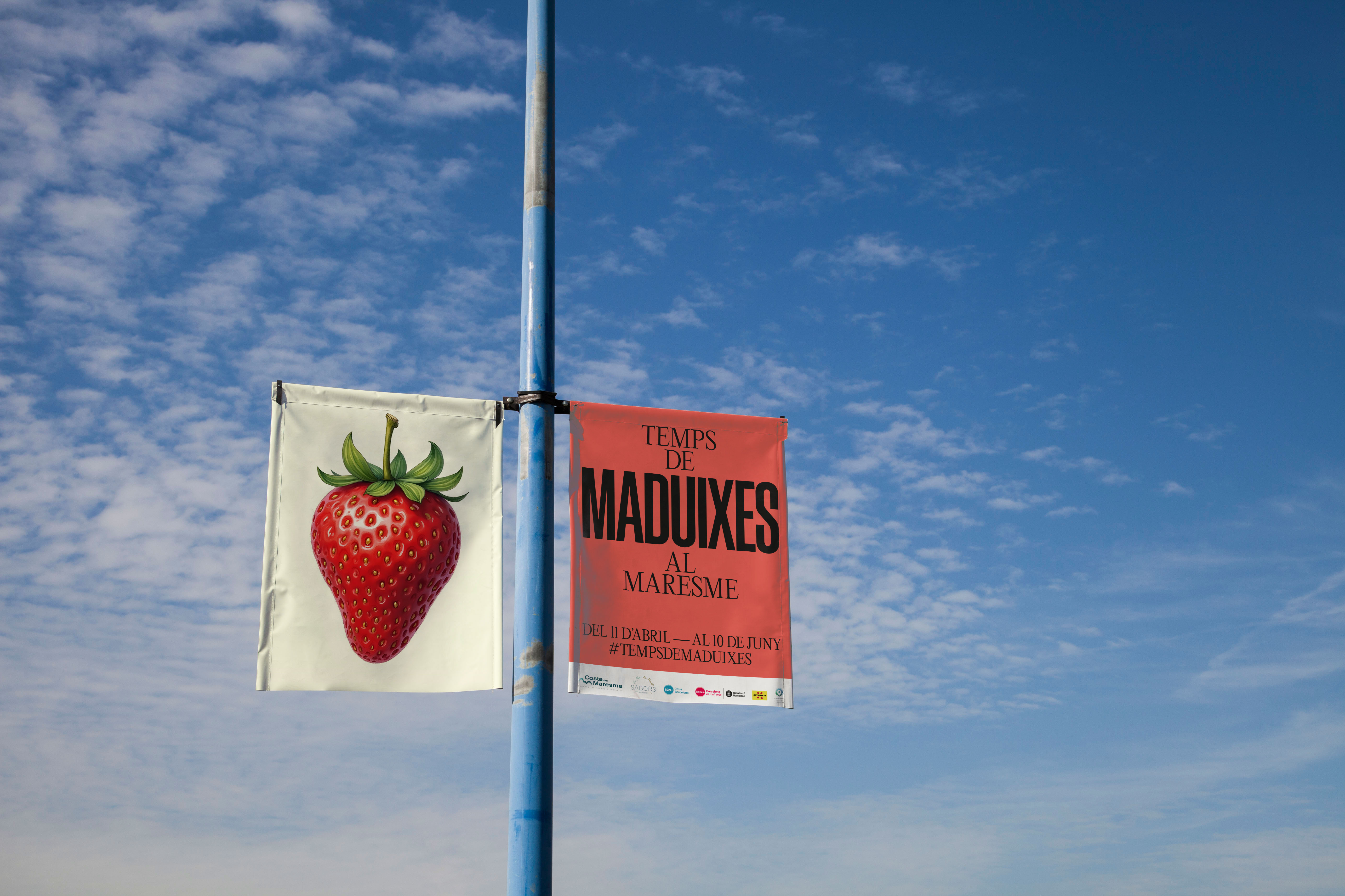 Temps_Maduixes_Maresme_2.jpg