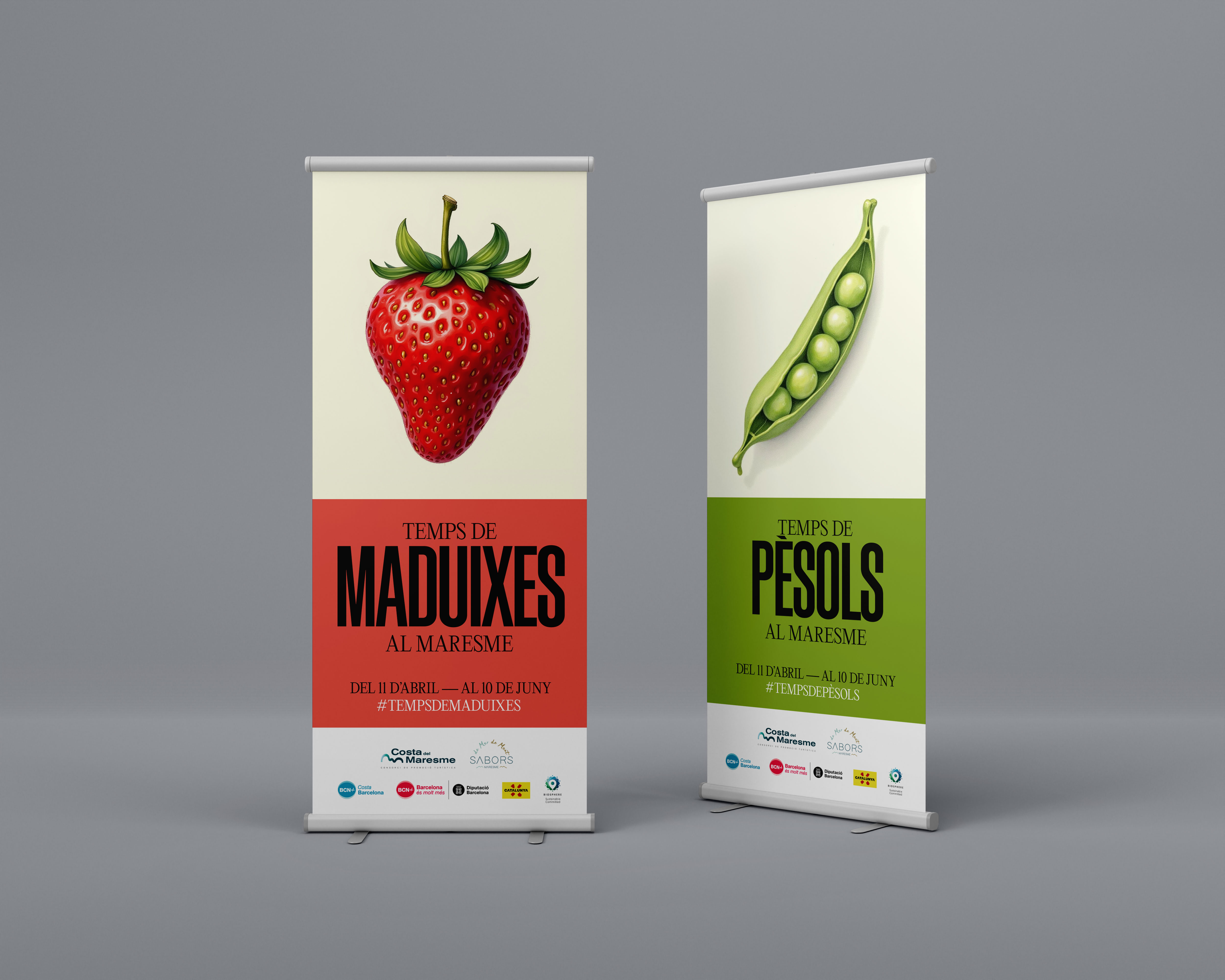 Temps_Maduixes_Pesols_Maresme.jpg