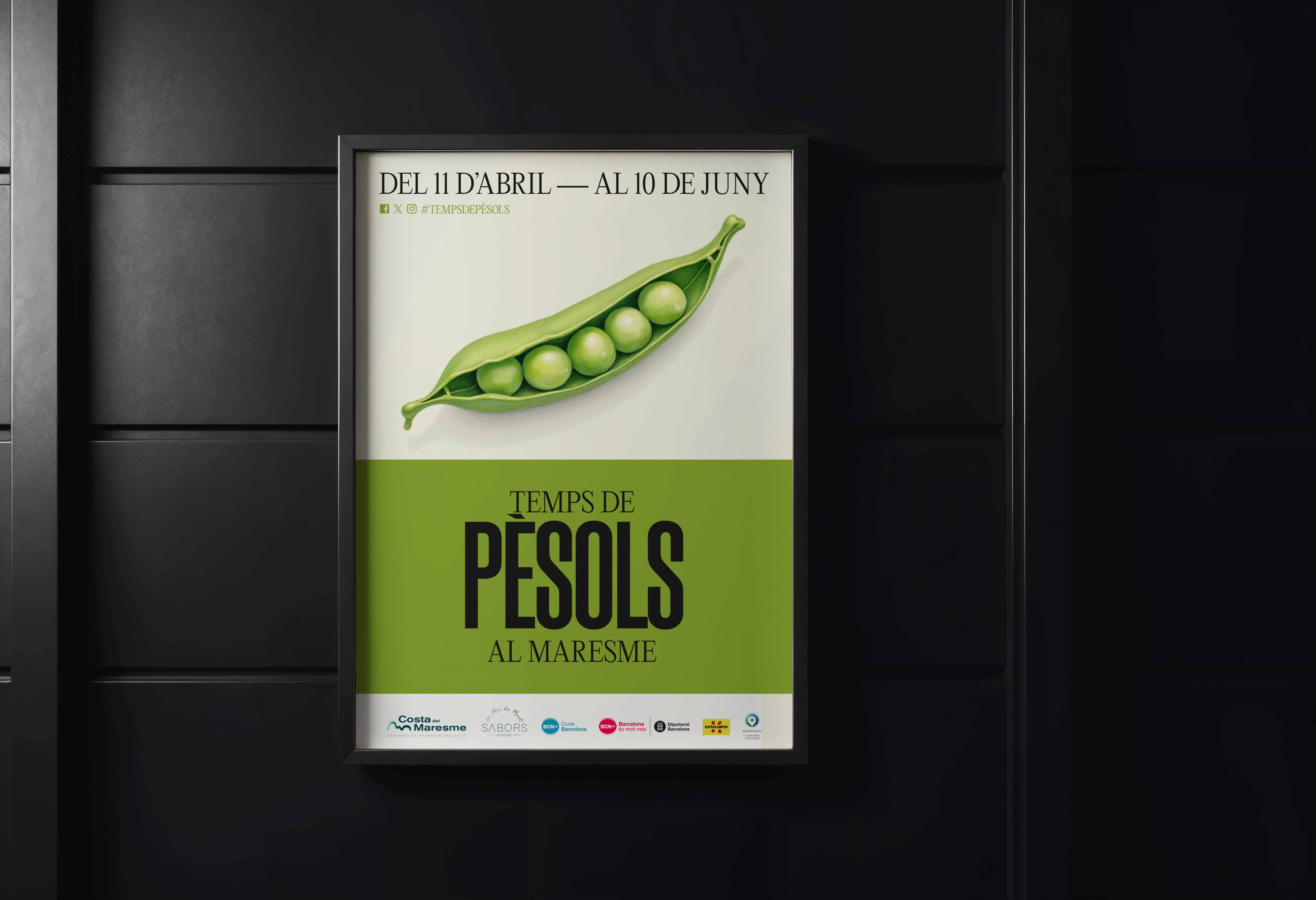 Temps_Pesols_Maresme_1.jpg