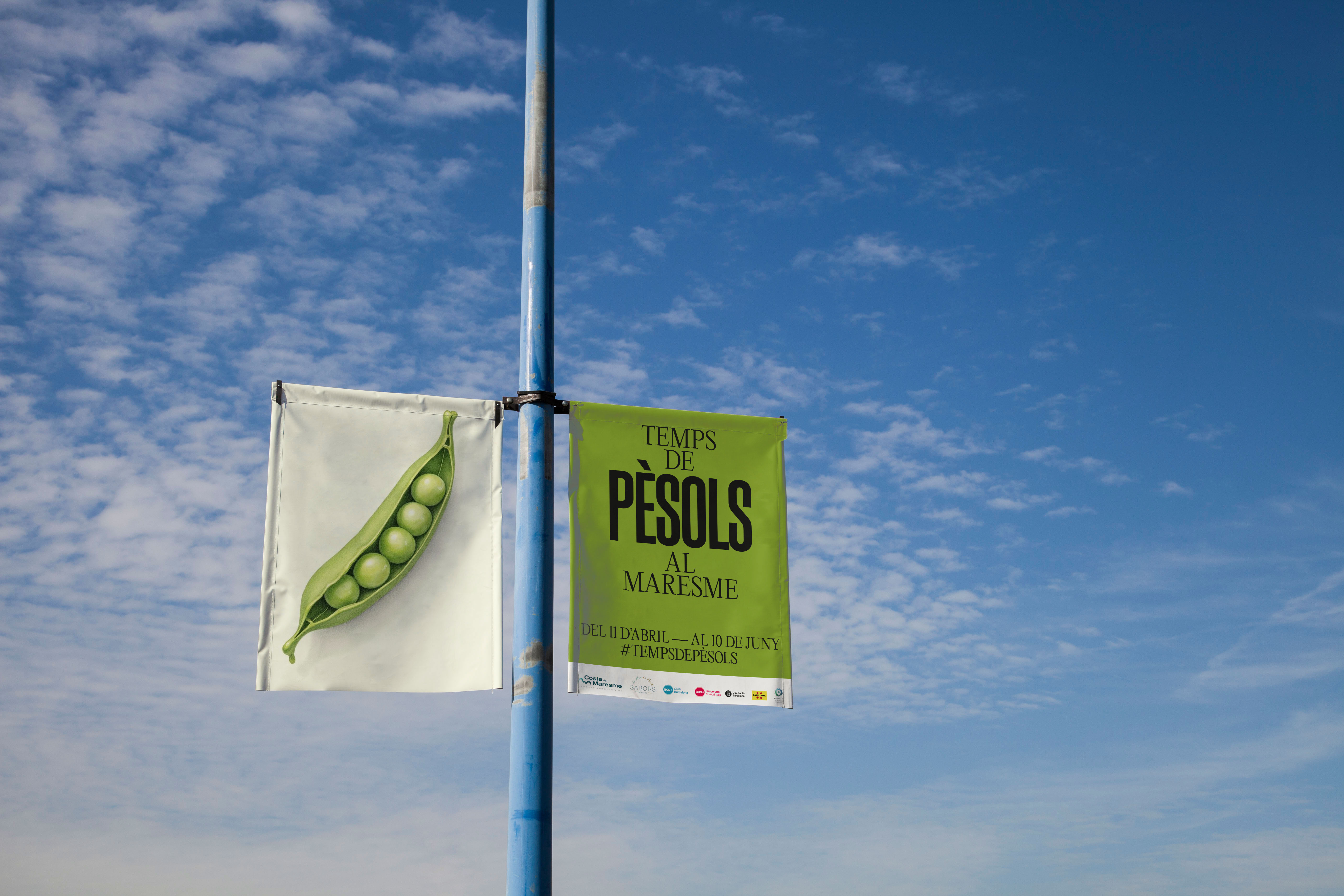 Temps_Pesols_Maresme_2.jpg